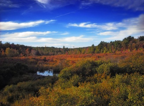 Living Pocono Thornhurst Homes For Sale