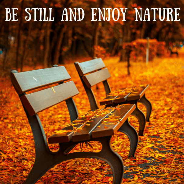 Be Still and Enjoy Nature