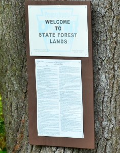 State Forest Lands