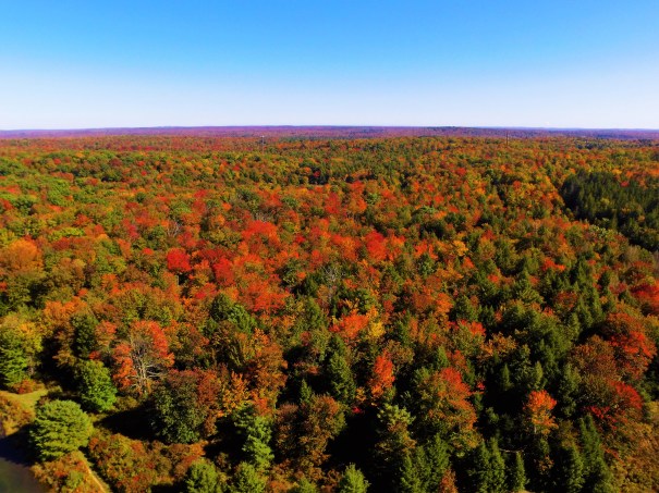 Autumn in Thornhurst From Above 
